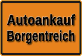 Autoankauf Borgentreich